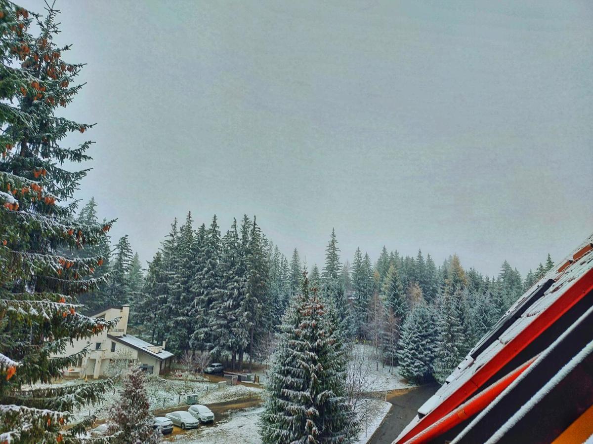 Vila Simonte Poiana Brasov Hotell Eksteriør bilde