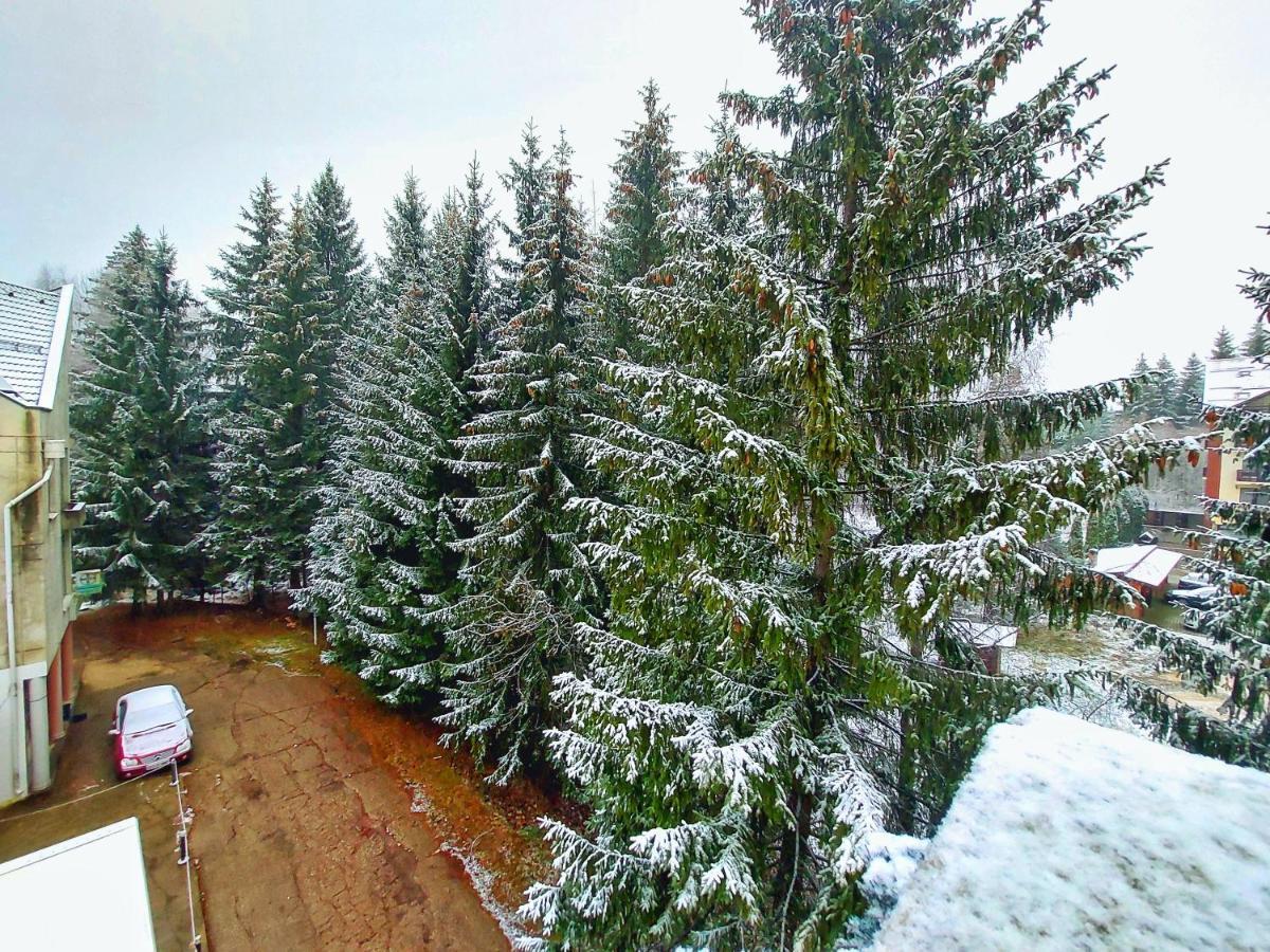 Vila Simonte Poiana Brasov Hotell Eksteriør bilde