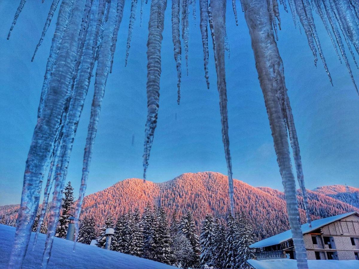 Vila Simonte Poiana Brasov Hotell Eksteriør bilde