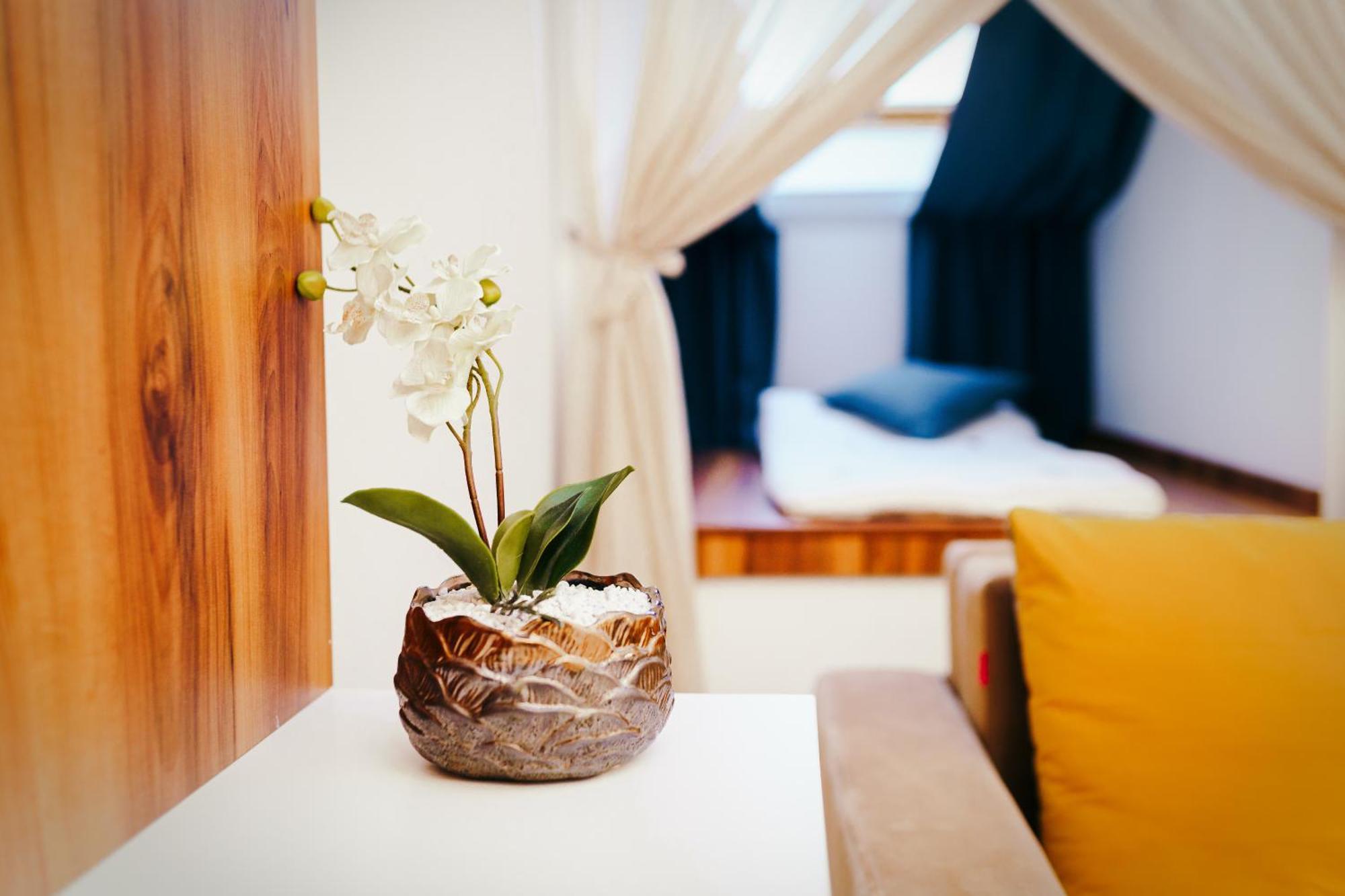 Vila Simonte Poiana Brasov Hotell Eksteriør bilde